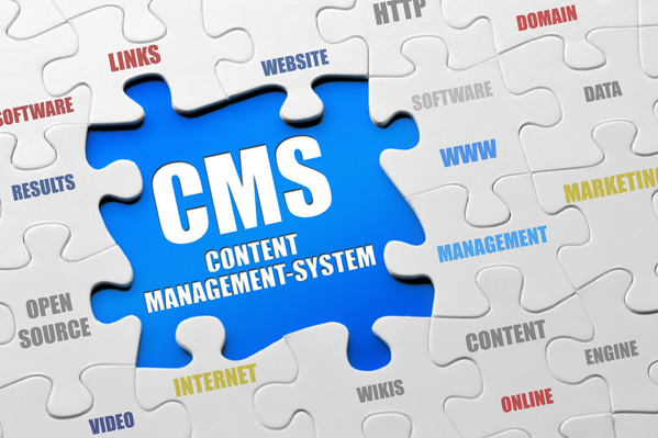 Adult Content Management System 41